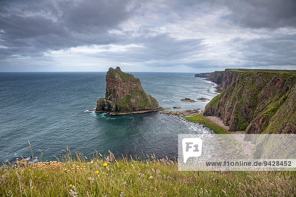 Stacks of Duncansby an der schottischen Nordseeküste Schottland Großbritannien Europa