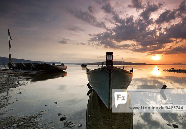 Boats in the evening light with sunset at Sandseele on Reichenau island  Baden-Wuerttemberg  Germany  Europe