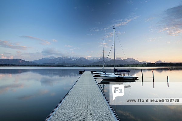 Evening mood at Hopfensee Lake with a view towards the Alps  Hopfensee in Allgaeu near Fuessen  Bavaria  Germany  Europe