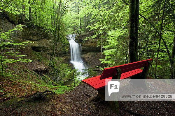 Sitzbank am Hasenreuter Wasserfall mit Scheidegg  Allgäu  Deutschland  Europa