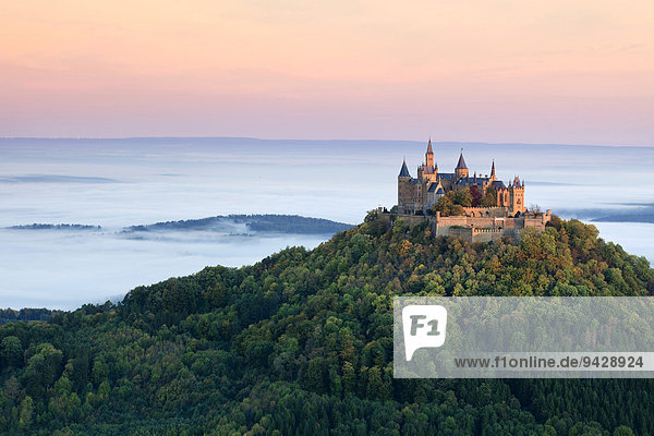 Die Burg Hohenzollern im Morgenlicht mit Herbstwald  Frühnebel  Schwäbische Alb  Baden-Württemberg  Deutschland  Europa