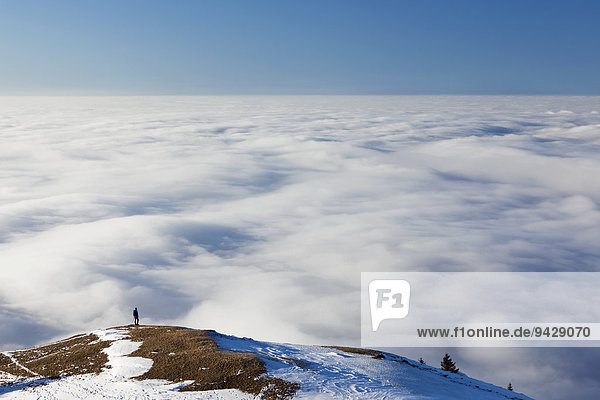 Lonely hiker walking above a sea of fog  low clouds  on Faehnerenspitze mountain in the Appenzell region  Switzerland  Europe