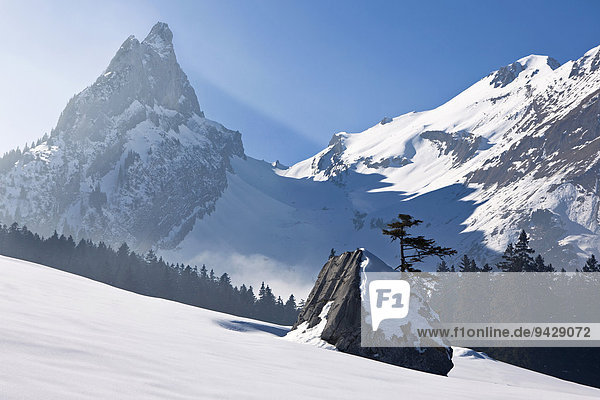 Schneelandschaft  Fälensee und Bollenwees  Alpstein  Alpen  Appenzell  Schweiz  Europa