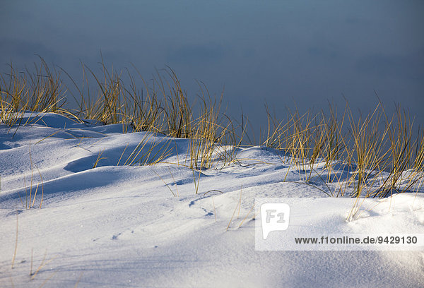Winterstimmung mit Eis und Schnee  Insel Sylt  Schleswig-Holstein  Deutschland  Europa
