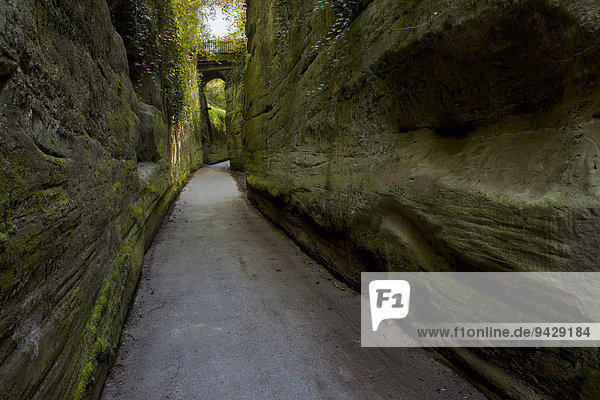 Path between sandstone rocks in Goldach at Ueberlingen on Lake Constance  Germany  Europe