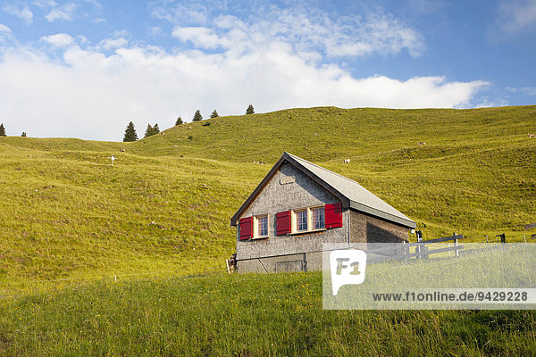 Kleine Alm auf der Fähnerenspitze im Appenzellerland  Schweiz  Europa  ÖffentlicherGrund