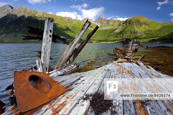 Schiffswrack auf der Inselgruppe der Lofoten Norwegen Skandinavien Europa ÖffentlicherGrund