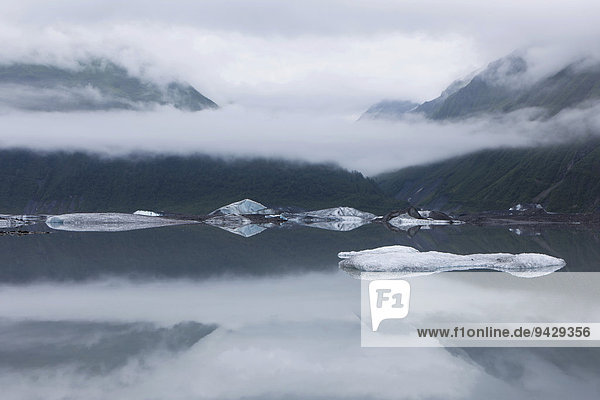 Eisreste am Valdez Gletschersee in Valdez  USA  Nordamerika