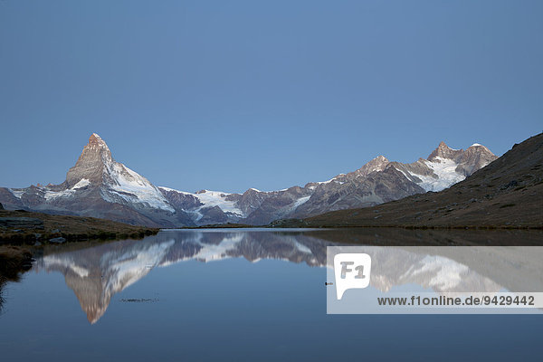 Morgenstimmung mit Matterhorn und Spiegelung im Stellisee  Zermatt  Wallis  Schweizer Alpen  Schweiz  Europa  ÖffentlicherGrund