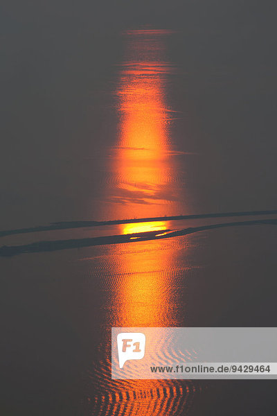 Sonnenuntergang am Rheindelta im Bodensee bei Bregenz Österreich Europa
