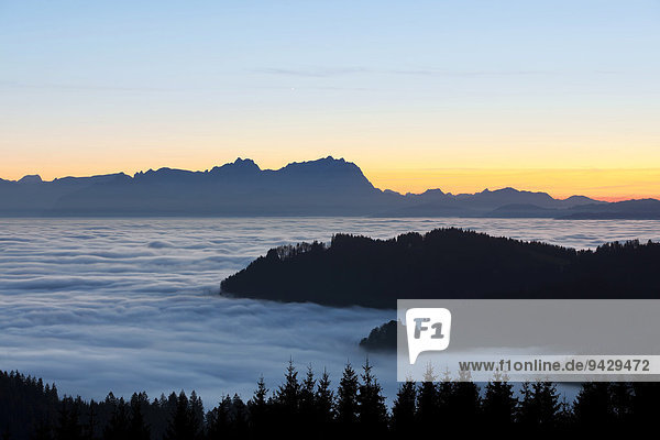Abendstimmung über dem Hochnebel mit Blick auf den Alpstein vom Hirschberg beim Pfänder Österreich Europa