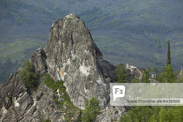 Die Angel Rocks in der Nähe von Fairbanks  Alaska  USA