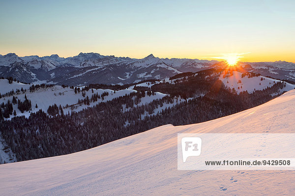 Winterstimmung bei der Hochalp mit Blick zum Rigi und die Ostschweiz  Appenzell  Schweizer Alpen  Schweiz  Europa  ÖffentlicherGrund