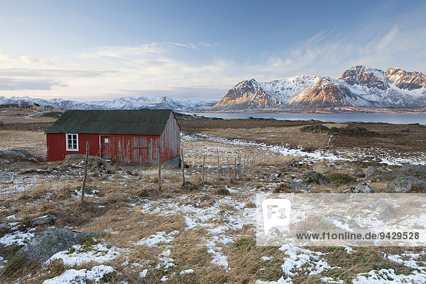 Kleine rote Hütte  hinten Berge am Meer  Lofoten  Norwegen  Europa