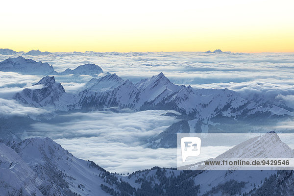 Winter landscape in the evening with views of Speer and Central Switzerland from Mount Saentis  Alpstein range  Appenzell  Switzerland  Europe