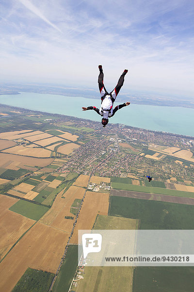 Skydiver free falling  Siofok  Komitat Somogy  Hungary  Europe