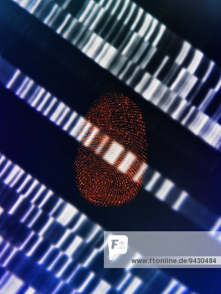 Menschlicher Fingerabdruck auf DNA-Gel zur Veranschaulichung der Gentechnik