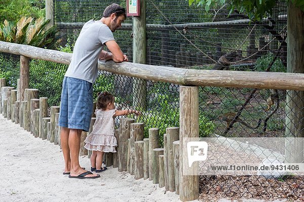 Vater und Tochter beobachten Affen im Zoo