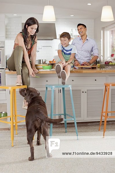 Woman sitting on kitchen counter feeding dog