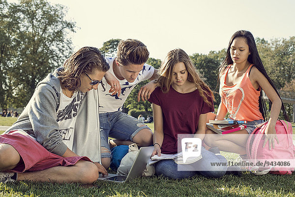 Group of friends studying on high school schoolyard