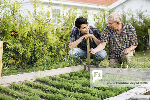 Großvater und Enkel schauen sich im Hof an.