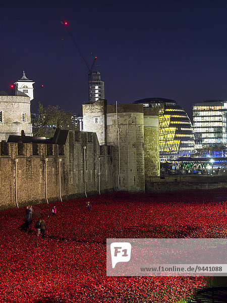 Poppy installation at Tower of London at night  London  UK