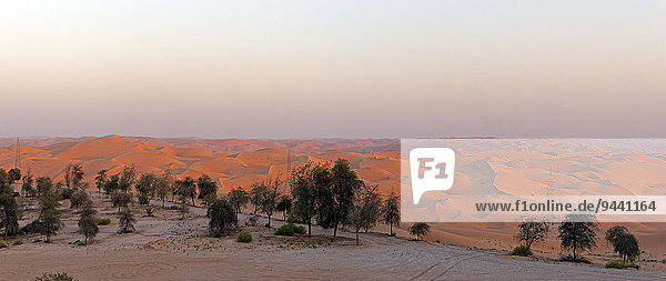 Sonnenuntergang über Wüstendünen  Abu Dhabi  Vereinigte Arabische Emirate