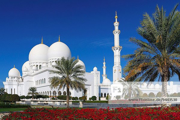 Abu Dhabi Hauptstadt Vereinigte Arabische Emirate VAE Ehrfurcht Moschee