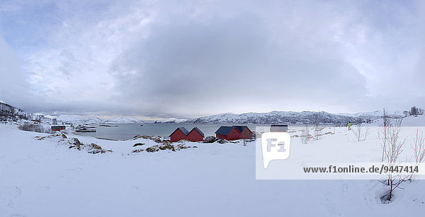 Ferienhäuser am Kvalsundet  Kvaloya  Troms  Norwegen  Europa