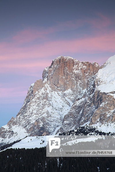 Sunset on Plattkofel in winter  Saltria  Province of South Tyrol  Italy  Europe
