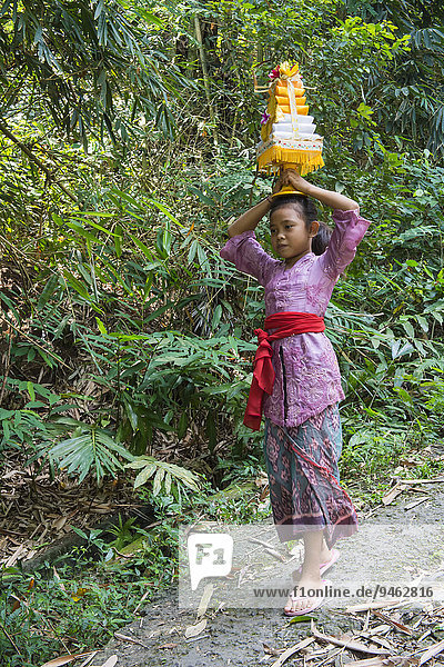 Ein Mädchen auf dem Weg zum Tempel trägt Opfergaben für eine Zeremonie auf seinem Kopf  Bali  Indonesien  Asien