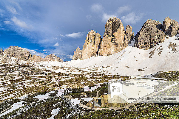 Schusterplatte  Paternkofel und Drei Zinnen  Ausblick vom Col Forcellina  Sextner Dolomiten  Provinz Südtirol  Italien  Europa