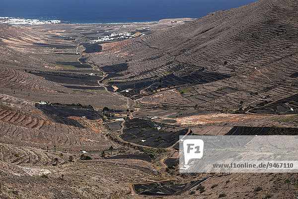 Ausblick vom Mirador de Haria ins Valle de Temisa Terrassenfelder Terrassenfeldbau hinten Tabayesce und Arrieta Lanzarote Kanarische Inseln Spanien Europa