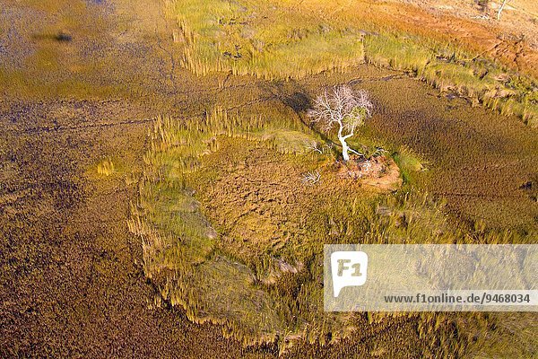 leer verbrennen Wasser Schönheit geben Meer fließen Fluss Sand Produktion Norden Form Formen Ansicht Wiese Kanal ausleeren Flussdelta Delta Kalahari Luftbild Fernsehantenne Botswana Mosaik