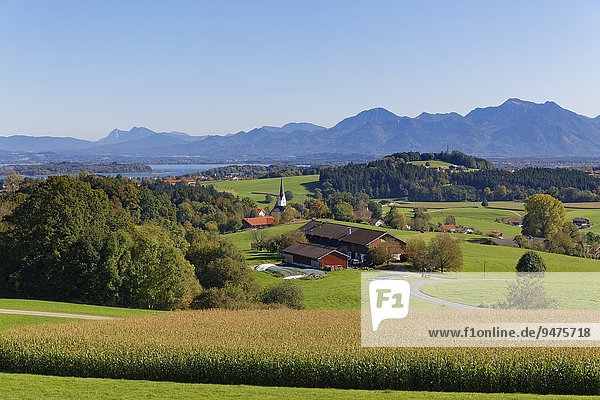 Ratzinger Höhe mit Greimharting  hinten die Chiemgauer Alpen  Chiemgau  Alpenvorland  Oberbayern  Bayern  Deutschland  Europa
