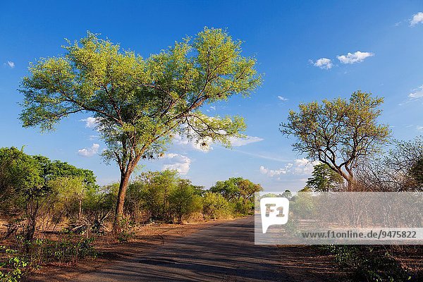 Fotografie Landschaft Fernverkehrsstraße Asphalt Zimbabwe