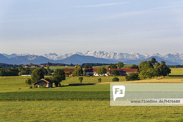 Ausblick von Münsing auf die Alpen  Oberbayern  Bayern  Deutschland  Europa