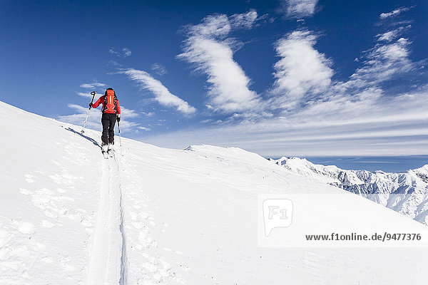 Skitourengeher beim Aufstieg durch das Lagauntal auf den Stotz bei Kurzras im Schnalstal  hier auf dem Gipfelgrat  Südtirol  Schnals  Trentino-Südtirol  Italien  Europa