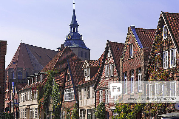 Altstadthäuser Auf dem Meere  hinten St. Michaelis  Lüneburg  Niedersachsen  Deutschland  Europa