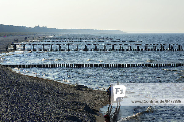 Baltic Sea beach with groynes in hazy weather  Ahrenshoop  Darß  Mecklenburg-Western Pomerania  Germany  Europe