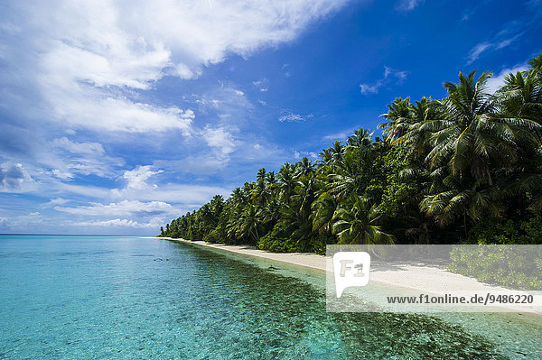 Sandstrand und türkises Wasser  Atoll Ant  Pohnpei  Mikronesien  Ozeanien