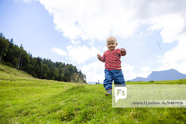 Toddler  18 months  during a summer hike in the Swiss Alpstein Mountains  Appenzell  Switzerland  Europe