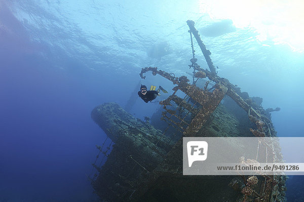Freediver diving the Gianis D wreck  Red Sea  Sharm el-Sheikh  Egypt  Africa