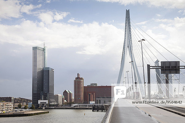 Skyline with Erasmus Bridge  Erasmusbrug  across the Nieuwe Maas river  Rotterdam  Holland  The Netherlands  Europe