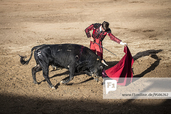 'Stierkämpfer führt eine ''Veronica'' aus  Stierkampf  El Barco de Ávila  Ávila  Spanien  Europa'