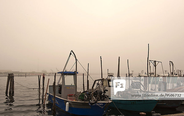 Fishing boats in the fishing port of Goro  Delta del Po  Po Delta  Ferrara  Emilia Romagna  Italy  Europe