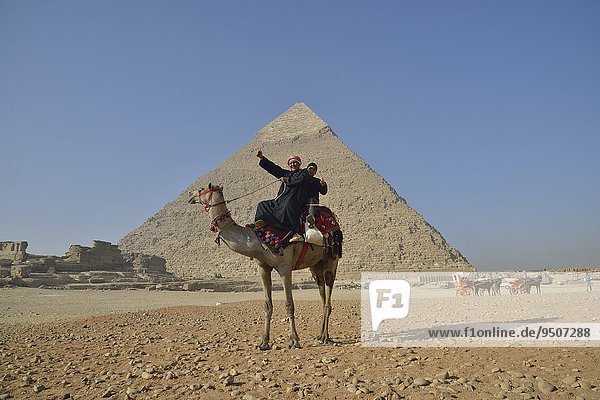 Kamelbesitzer auf einem Kamel vor der Pyramide des Chephren  Giseh  Ägypten  Afrika