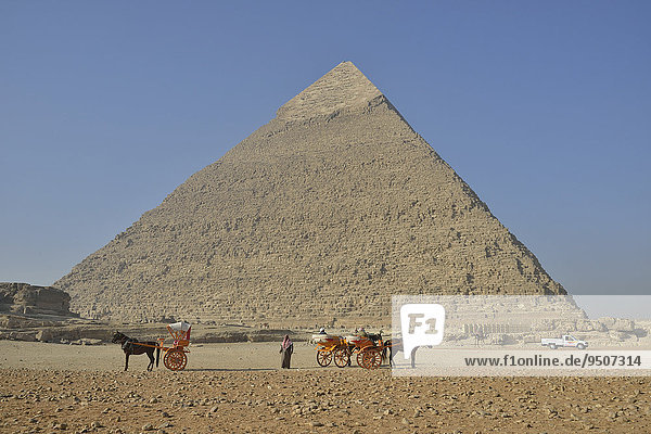 Empty carriages for tourists in front of the Pyramid of Chephren  Giza  Egypt  Africa
