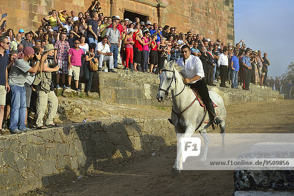 Die Ardia  S'Ardia  Pferderennen zu Ehren des römischen Kaisers Konstantin  Sedilo  Provinz Oristano  Sardinien  Italien  Europa