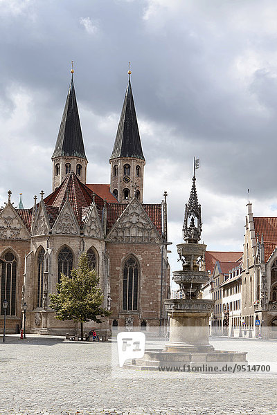 Altstadtmarkt mit Marienbrunnen und Martinikirche  Braunschweig  Niedersachsen  Deutschland  Europa